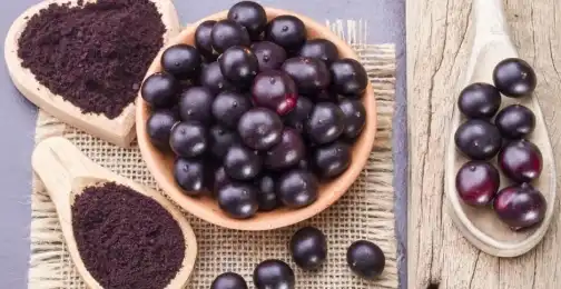 What is acai berry powder good for?